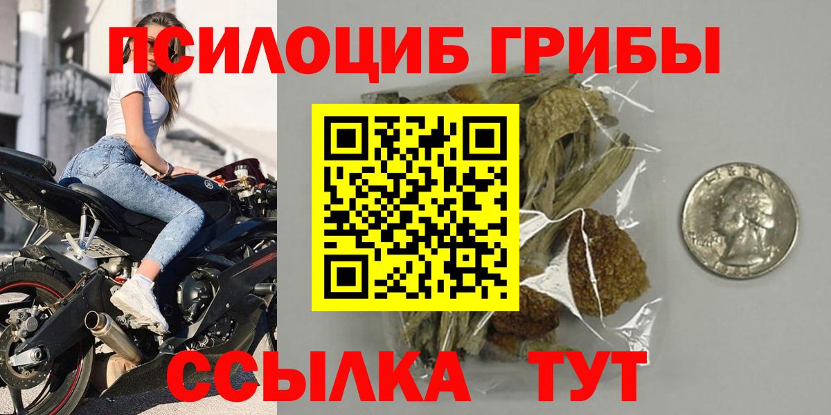 Астрахань  Псилоцибиновые грибы GOLDEN TEACHER  Вход с VPN 