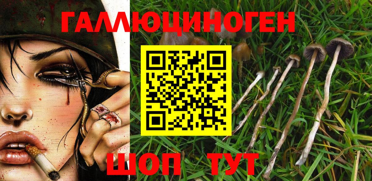 Псилоцибиновые грибы мухоморы Астрахань